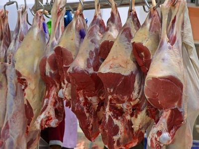 gold-coast-large-format-butchery-amp-food-service-business-with-retail-shop-fo-0