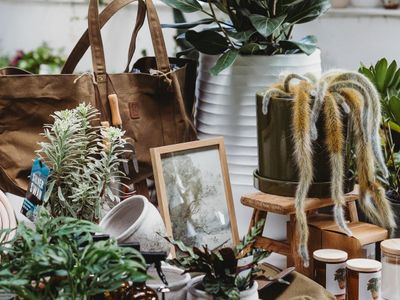 boutique-plant-garden-nursery-amp-giftware-store-creative-lifestyle-busine-7