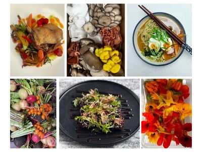 your-recipe-for-success-own-a-restaurant-today-4