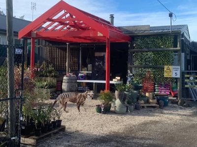 busy-hardware-amp-garden-centre-vendor-finance-available-3