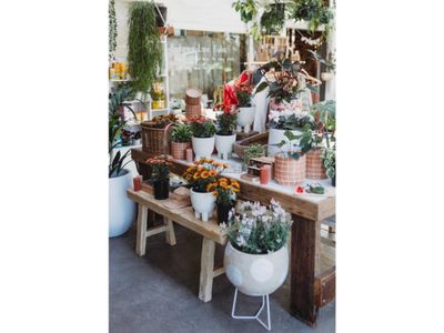 boutique-plant-garden-nursery-amp-giftware-store-creative-lifestyle-busine-0