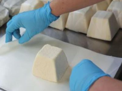 award-winning-cheese-manufacturing-amp-retail-business-5