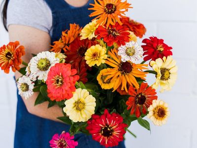 netting-60k-profit-thriving-profitable-florist-and-gift-hamper-business-0