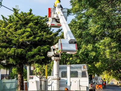 vegetation-maintenance-municipal-contractor-ebs-2