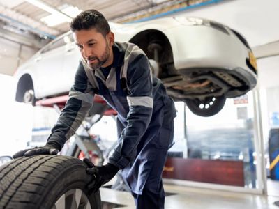 proven-sydney-auto-workshop-22-years-brand-aligned-loyal-clients-expansion-0