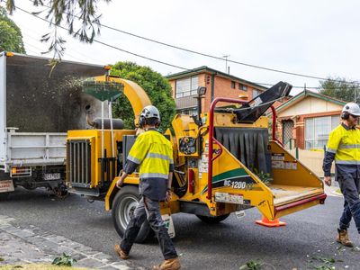 vegetation-maintenance-municipal-contractor-ebs-1