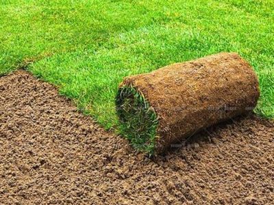 landscape-supplies-earthmoving-business-run-under-management-near-gosford-2