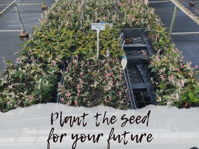 plant-the-seed-for-your-future-4