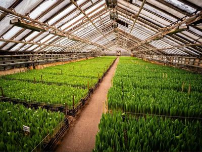 quality-horticultural-business-vic-1