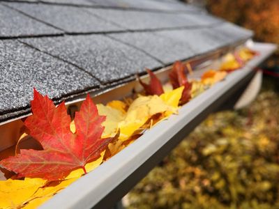 highly-profitable-gutter-cleaning-business-0