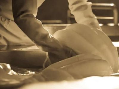 award-winning-cheese-manufacturing-amp-retail-business-1