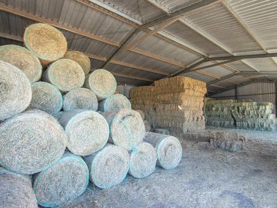 wrt-feed-shed-stockfeed-amp-produce-2