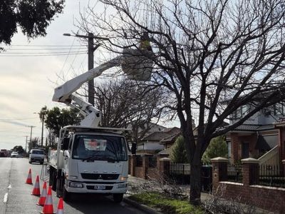 vegetation-maintenance-municipal-contractor-ebs-3