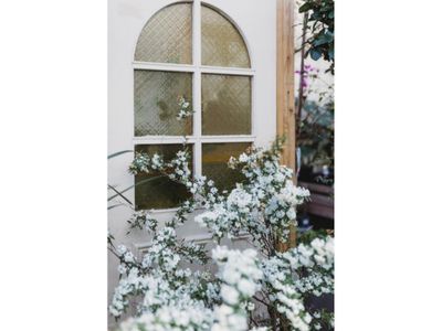 boutique-plant-garden-nursery-amp-giftware-store-creative-lifestyle-busine-2
