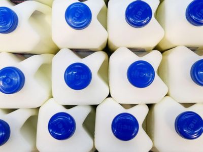 stable-milk-run-business-huge-opportunity-for-growth-1