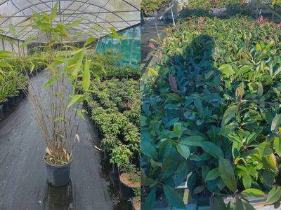plant-the-seed-for-your-future-3