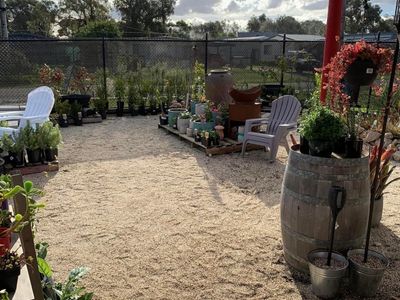 busy-hardware-amp-garden-centre-8