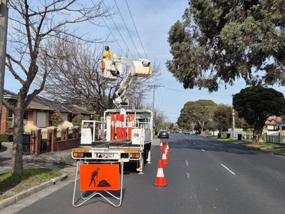 vegetation-maintenance-municipal-contractor-2