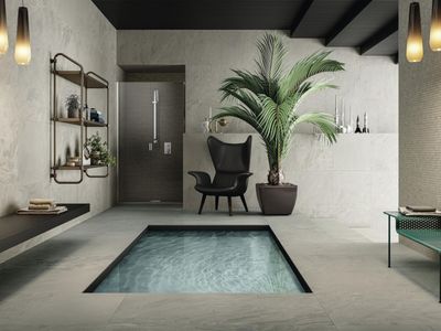 established-ceramic-tile-amp-stone-import-distribution-business-shareholder-in-1