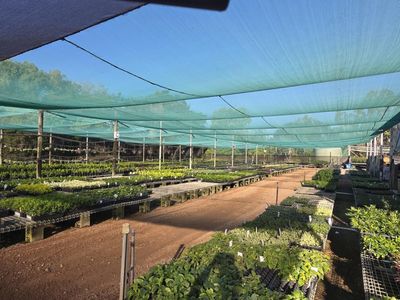 central-to-north-queensland-wholesale-nursery-strategic-add-on-or-lifestyle-bu-0