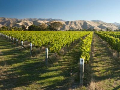 nz-39-s-wine-heritage-1-of-waipara-39-s-oldest-wineries-christchurch-new-zealand-0