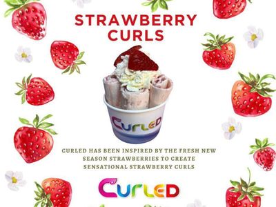 curled-icecream-franchise-ready-with-strong-profits-amp-low-overheads-5