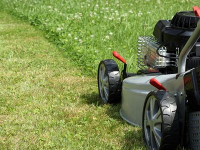 property-cleaning-and-garden-maintenance-business-0