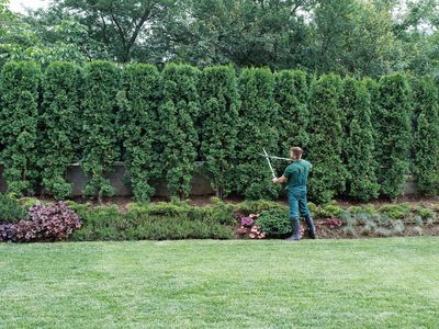 successful-landscape-construction-business-regional-qld-1