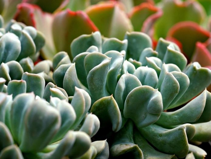 protective-membrane-specialist-t-o-5m-wellington-central-nz-1