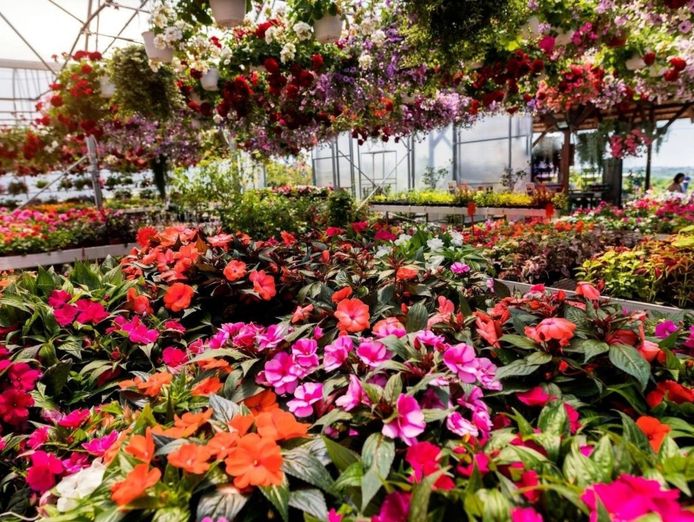 established-garden-centre-and-landscape-supplies-with-significant-growth-potenti-0