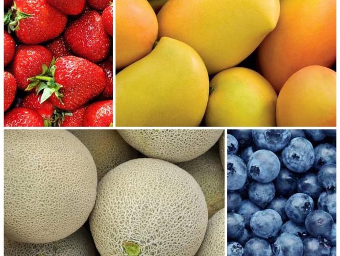 fruit-and-veg-grocery-with-deli-and-cafe-netting-15-000-p-w-under-manageme-1