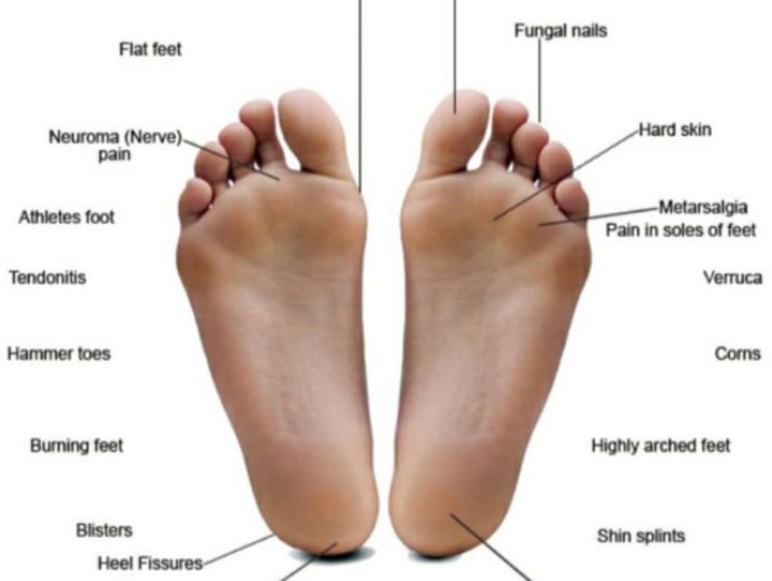 thriving-allied-health-clinic-in-podiatry-established-client-base-amp-growth-1