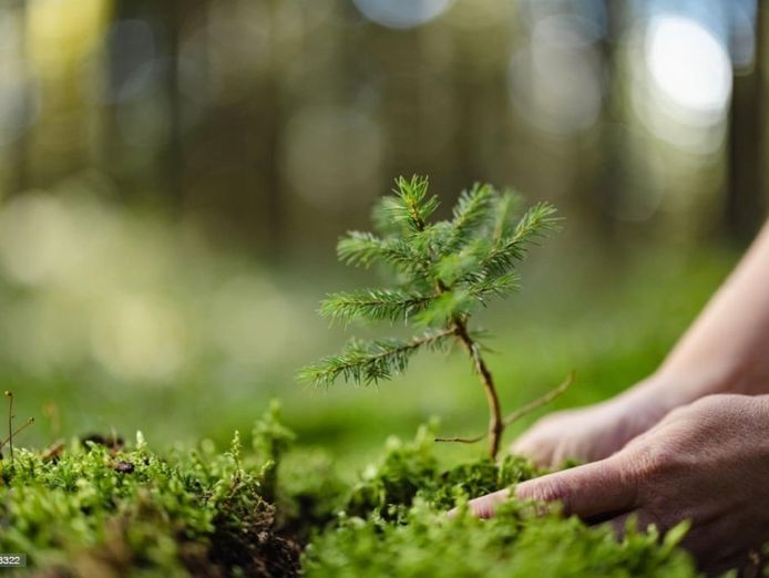 long-established-lawn-garden-business-high-income-work-from-anywhere-3
