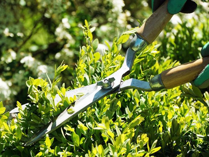 commercial-strata-cleaning-3-days-per-week-long-term-clients-2