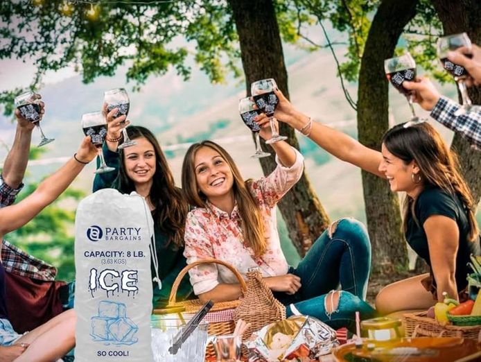 ice-processing-and-distribution-business-with-freehold-amp-extensive-plant-amp-a-1
