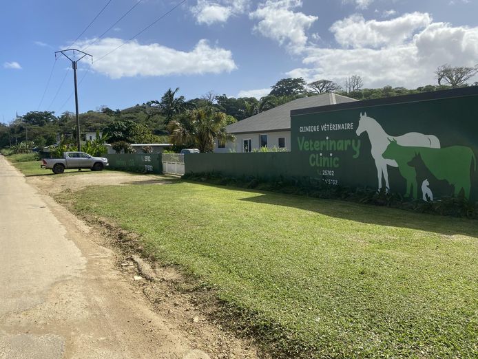 veterinary-clinic-for-sale-in-port-vila-vanuatu-0
