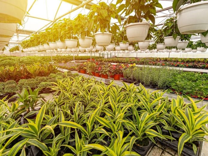 horticulture-nursery-and-agriculture-businesses-for-sale-0