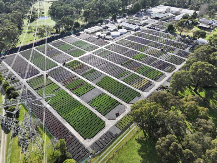 established-wholesale-production-nursery-under-management-1-9m-profit-1