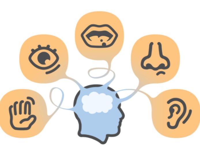 thriving-sensory-amp-educational-online-retail-business-with-enormous-growth-p-1