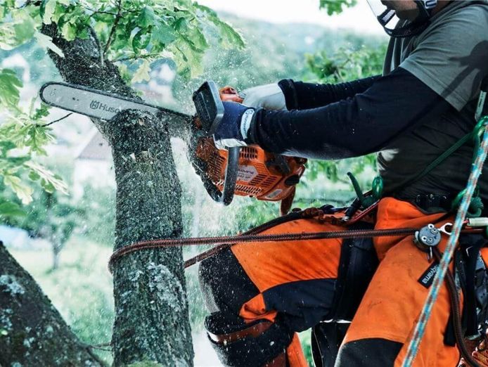 jim-39-s-tree-lopping-4