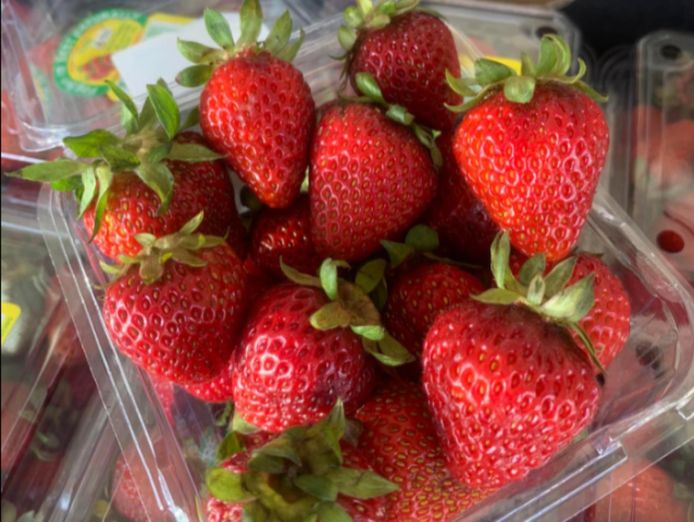 fruitful-opportunity-newly-renovated-grocer-amp-cafe-for-sale-2