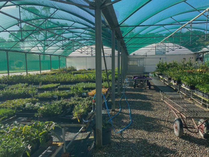 plant-the-seed-for-your-future-5