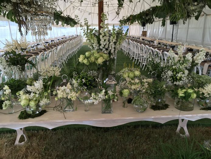 2-businesses-in-1-sand-soil-plus-equipment-hire-party-and-building-5