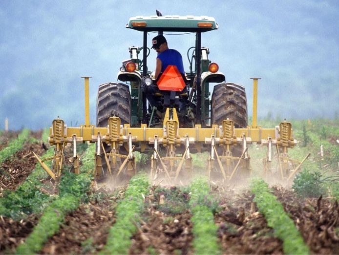 freehold-agricultural-supplies-toowoomba-region-excellent-reputation-1