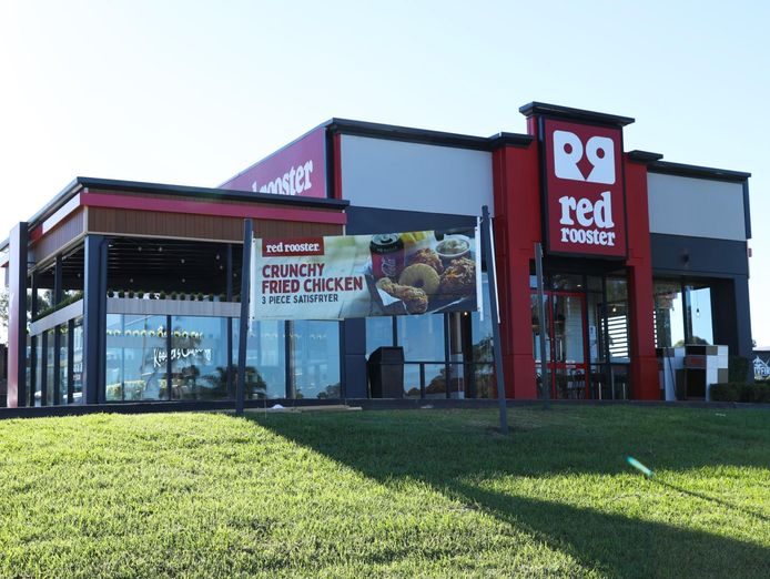 red-rooster-beldon-1