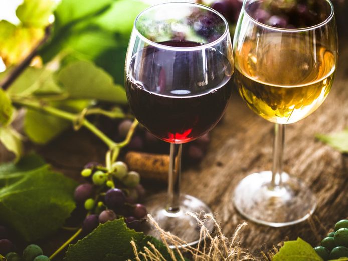 profitable-tasmanian-wine-distribution-business-1-1-m-in-sales-0