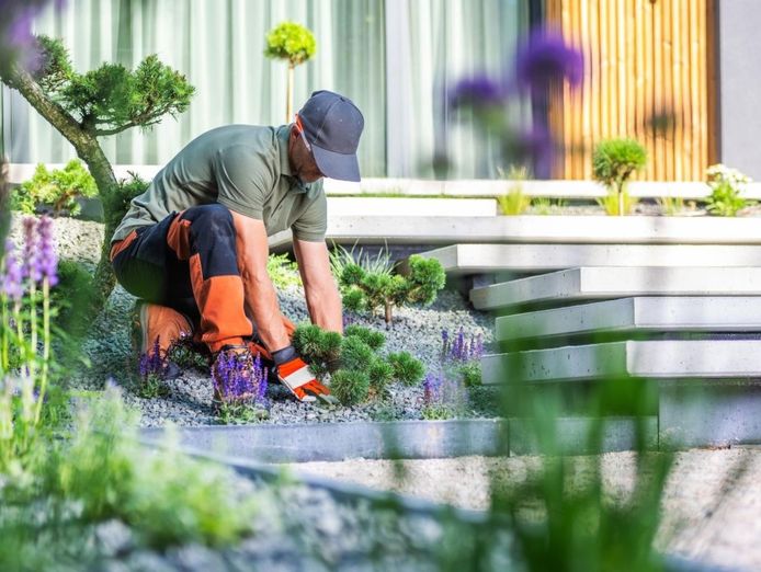 combined-horticulture-amp-landscaping-enterprise-fy26-revenue-9-23m-qld-2