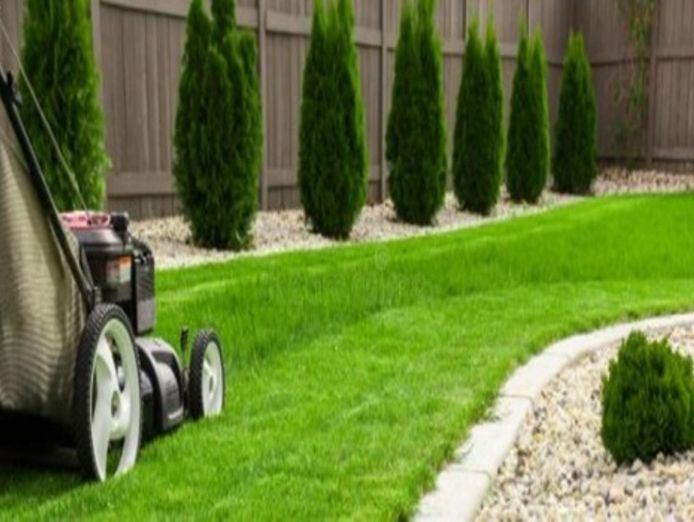 leading-mower-retail-sales-service-business-run-under-management-5