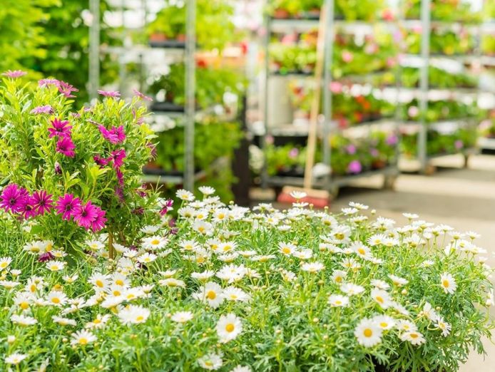 established-garden-centre-and-landscape-supplies-with-significant-growth-potenti-1