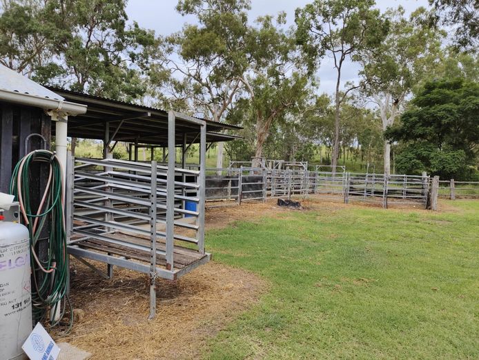 thriving-butcher-shop-smokehouse-freehold-processing-plant-2
